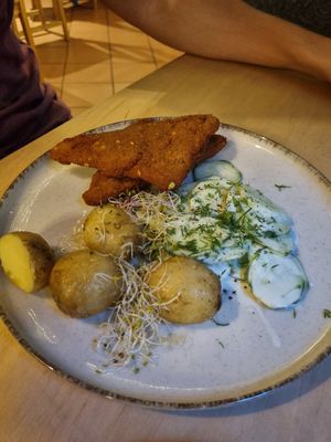 Polish dish at no bones in Krakow