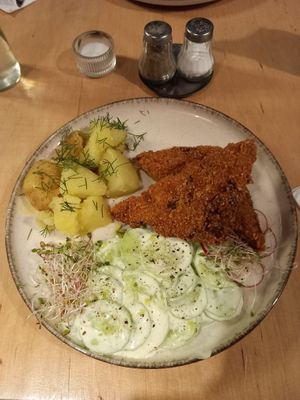  at no bones in Krakow