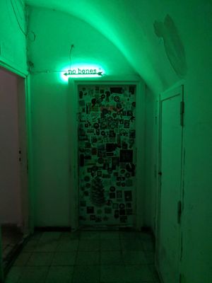  at no bones in Krakow