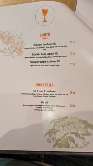 Alcohol drinks menu at no bones in Krakow