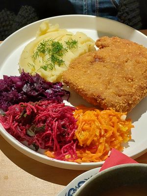  at no bones in Krakow