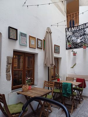  at no bones in Krakow