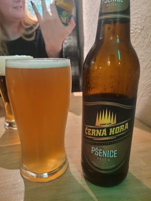  at no bones in Krakow