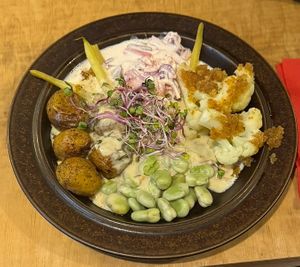 Dish of the day (polish plate)  at no bones in Krakow