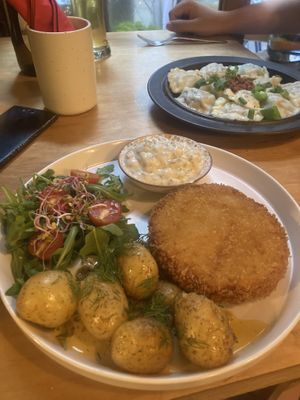   at no bones in Krakow