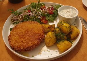  at no bones in Krakow