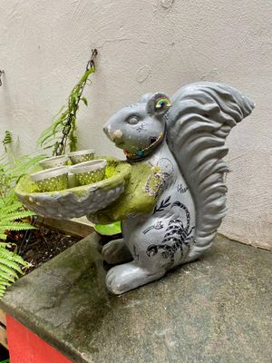  at no bones in Krakow