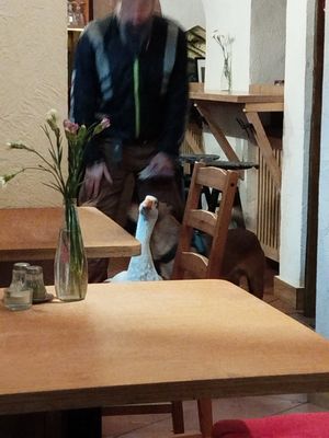  at no bones in Krakow