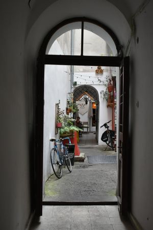  at no bones in Krakow