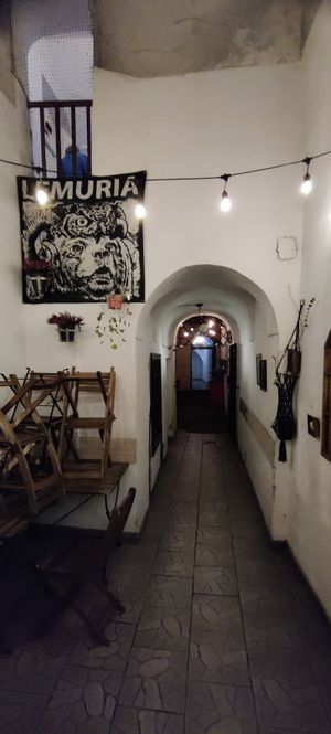  at no bones in Krakow