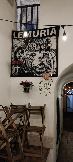  at no bones in Krakow