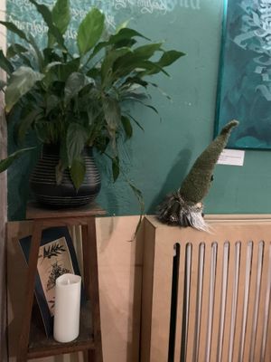   at no bones in Krakow