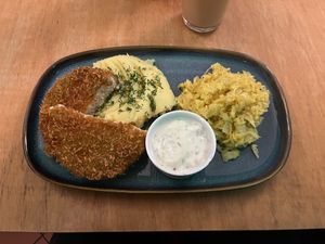  at no bones in Krakow