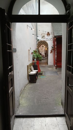 And then... at no bones in Krakow