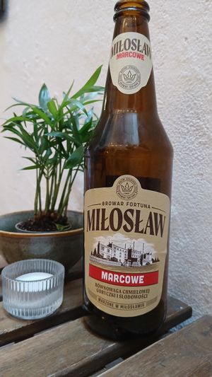  at no bones in Krakow