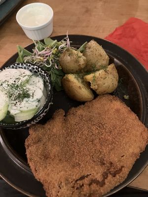   at no bones in Krakow