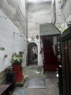   at no bones in Krakow