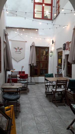  at no bones in Krakow