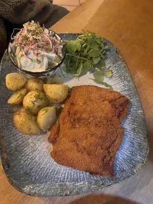   at no bones in Krakow