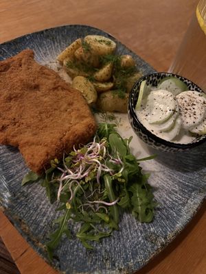   at no bones in Krakow