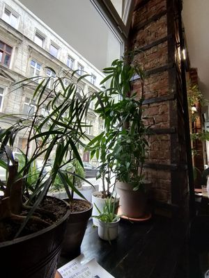  at Tajfun in Wroclaw