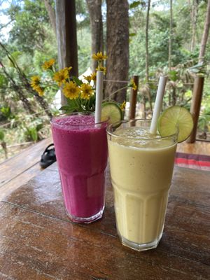 Smoothies (the dragon fruit with banana is the best one!)  at Robinson Bungalows in Sihanoukville