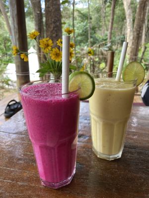 Fruit smoothies  at Robinson Bungalows in Sihanoukville