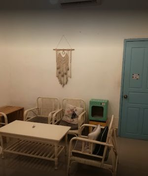  at Le Cattitude Cafe in Vientiane