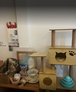  at Le Cattitude Cafe in Vientiane