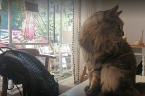  at Le Cattitude Cafe in Vientiane