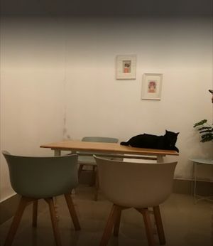  at Le Cattitude Cafe in Vientiane