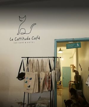  at Le Cattitude Cafe in Vientiane