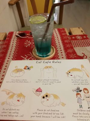  at Le Cattitude Cafe in Vientiane