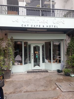 Outside at Le Cattitude Cafe in Vientiane