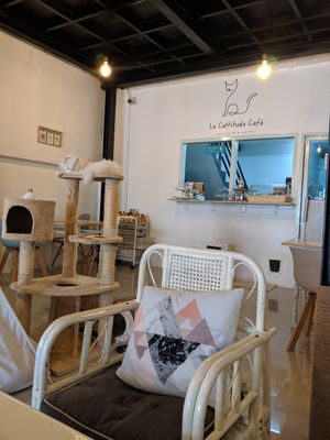 . at Le Cattitude Cafe in Vientiane