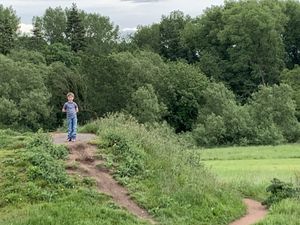 Gardens at Whitlenge Tea Room and Gardens in Hartlebury