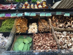 Abundance  at Rainbow Grocery in San Francisco