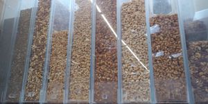  at Rainbow Grocery in San Francisco