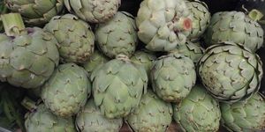  at Rainbow Grocery in San Francisco