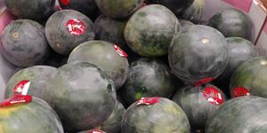  at Rainbow Grocery in San Francisco