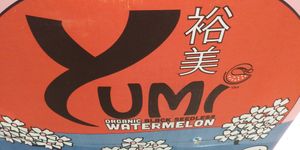  at Rainbow Grocery in San Francisco