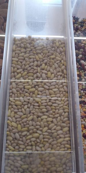  at Rainbow Grocery in San Francisco