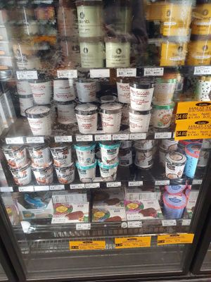 Vegan Ice Cream  at Rainbow Grocery in San Francisco