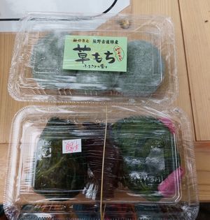 Vegan Mochi at Michinoeki in Tanabe