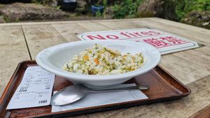 Delicious fried rice for 600¥ (May 2024) at Michinoeki in Tanabe