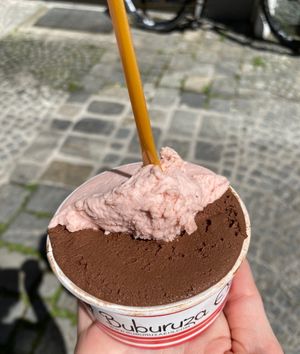 Schokoschock and Holunder-Minze-Rhabarber, both vegan at Buburuza Eis in Steyr