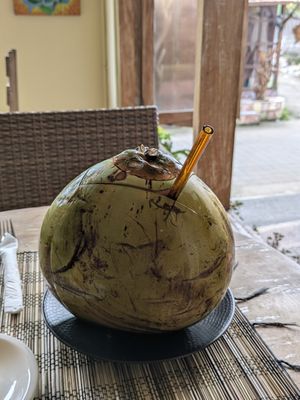 Young Coconut at Paradiso in Ubud