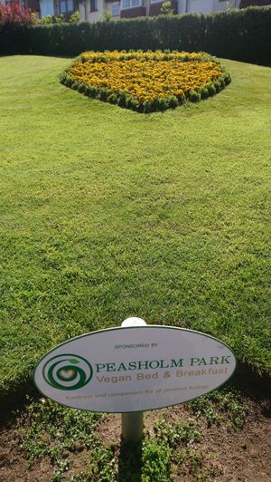 Lovely words  at Peasholm Park Vegan B&B in Scarborough