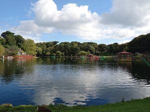 Peasholme Park lake, just across the road. In fact I could see the lake through the trees from my bedroom at Peasholm Park Vegan B&B in Scarborough