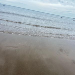   at Peasholm Park Vegan B&B in Scarborough